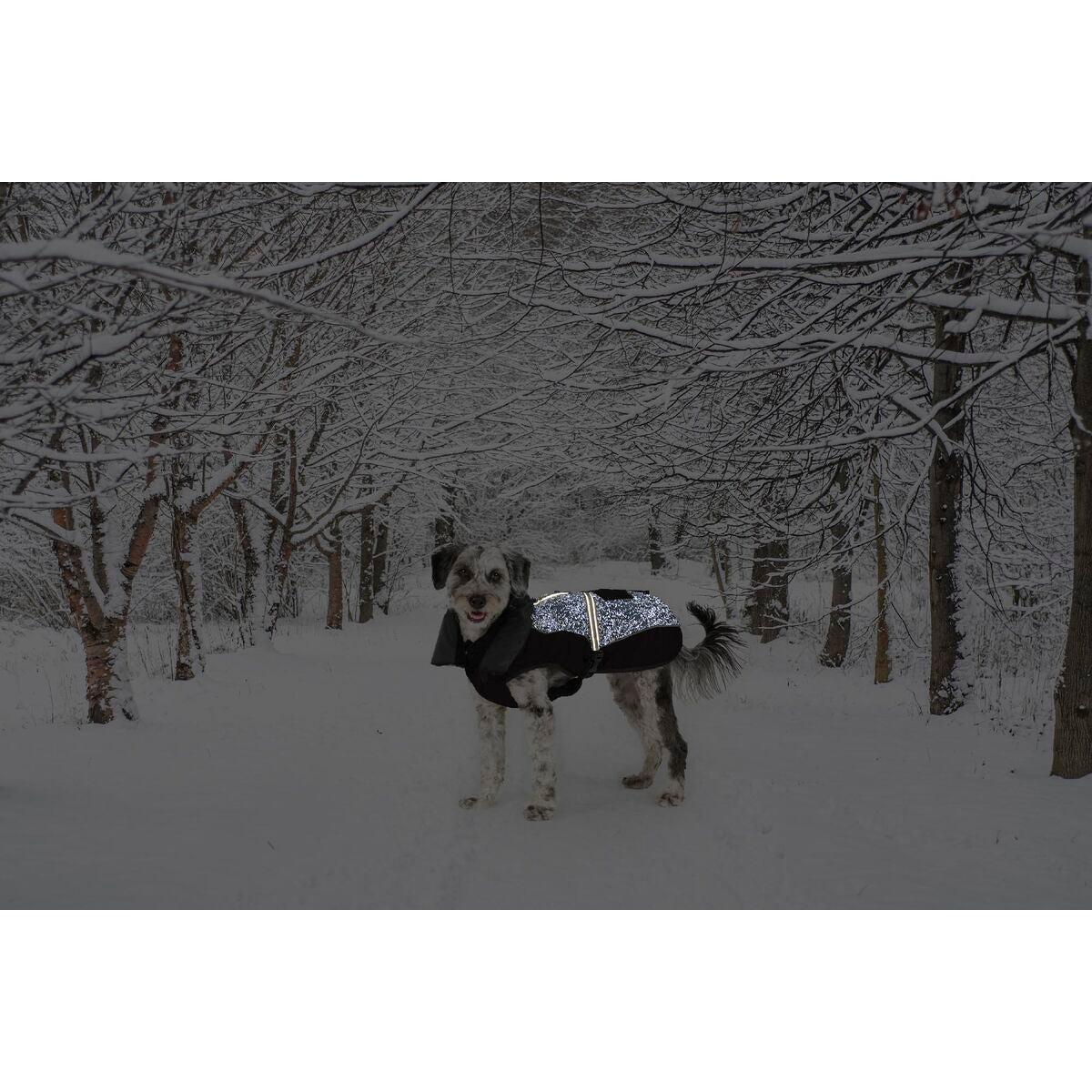 V4H466D8822CFE36BDA144DFD52B82CFE15R5332474P2