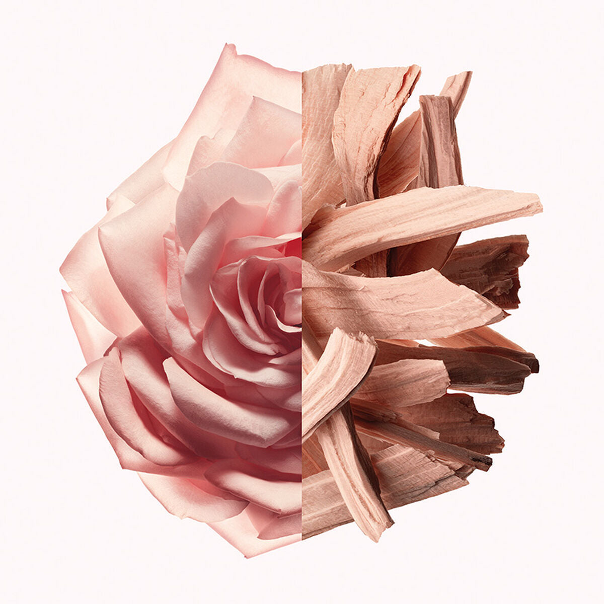 V4H1C88ADB70B7F914E1FF9F0A5FA438955R5674675P2