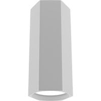 Spot Small Spot HEXA GU10 blanc