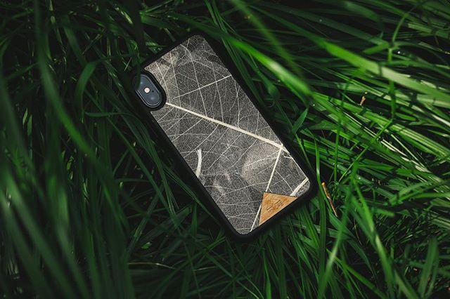 Étui organique - Feuilles squelettes